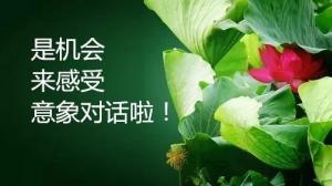 8月20日—26日意象對話公益體驗周